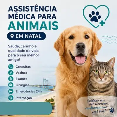 Assistência médica veterinária 24h em Natal
