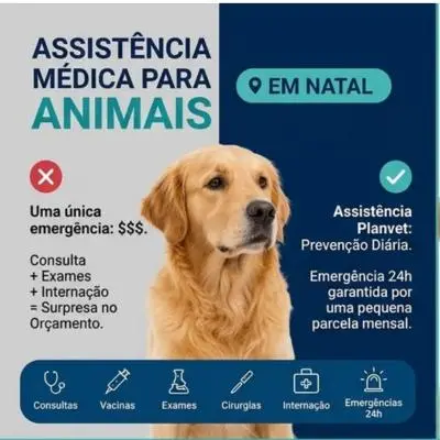 Assistência médica veterinária com consultas em Natal