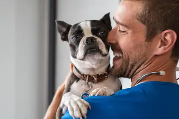 Convênio animal em João Pessoa