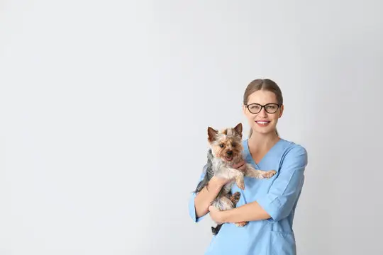 Plano de saúde animal preço