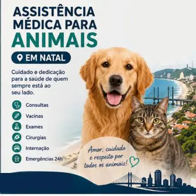 Plano de saúde para pets idosos em Natal