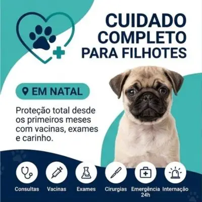 Plano de saúde veterinário com exames em Natal